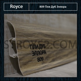 Пли Дуб Эллора 809